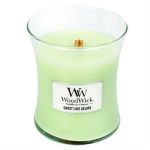 Woodwick Sweet Lime Gelato Medium Jar