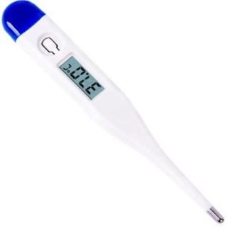 Casey Blue Electronic Thermometer
