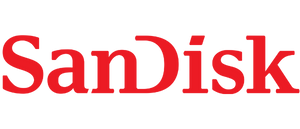sandisk-v1