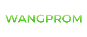 wangprom-v1
